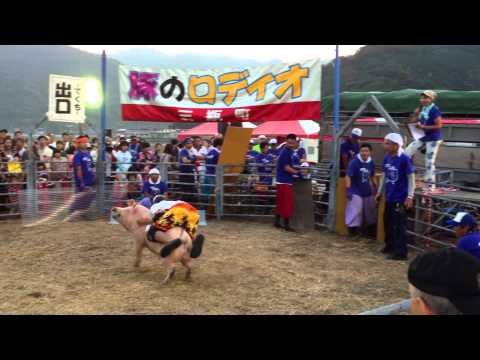 奥地の海のカーニバル2013