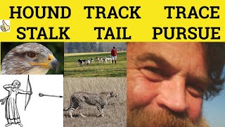 🔵 Pursue Stalk Tail Track Trace Hound - Meaning and Examples - Pursue Stalk Tail Track Trace Hound