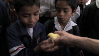 Pin Pon Azul Cortometraje de estudiantes BLACKMARIA