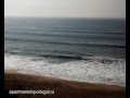 Nature of Portugal in February