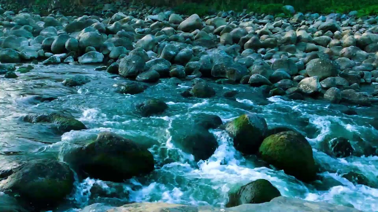 Soft Freshwater Stream Nature ASMR | For Mental Focus, Therapy & Worry Relief