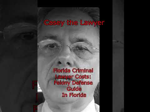 Florida Criminal Lawyer Costs Felony Defense Guide