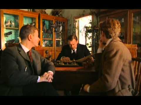 Домашние растения - самые красивые и популярные (50 фото) Когда выйдет второй сезон шоу От пацанки до панянки