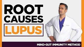 [Root Causes] of Lupus, SLE Autoimmune ANA+ Genetics & Inflammation, Medical Doctor Explains