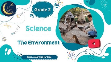 The Environment - Science Grade 2