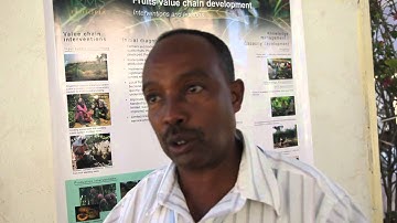 Fruit value chains in Ethiopia rely on farmer inputs