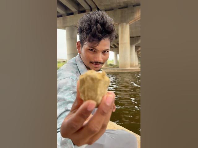 Big fish hunting on river in Telugu | rohu fishing | fish videos fish | eel fish. #fishing #blogger