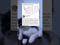 A Mirrored Map Of The US Is Very Unsettling Nothing About This Looks Right A Mirrored Map Of The US Is Very Unsettling Nothing About This Looks Right