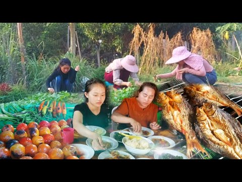 Video: Lub Caij Ntuj Sov Zaub Mov: Kib Eggplant Nrog Txiv Lws Suav Thiab Qej