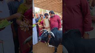 രവല തനന മഹദവനറ അമപലതതലതത ഗമതവന തഴത സരഷടടന കടബവ