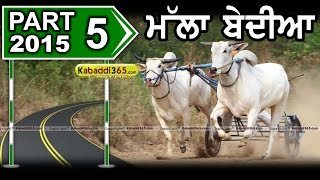 (5) Mallan Bedian (Nawanshahr) Ox Race 28 May 2015