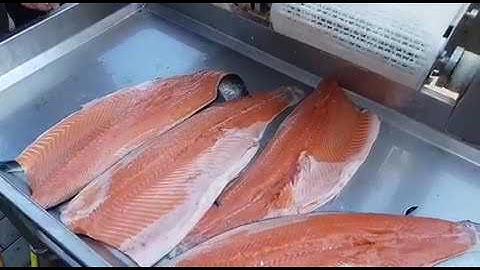Baader 200 Salmon Filleting Machine
