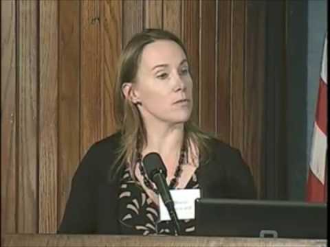 Money in Politics 2009 | Allison Hayward