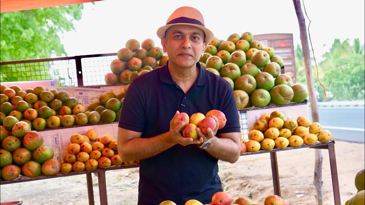 Move over, ALPHONSO! Blown away by these local MANGOES At Dharmapuri, Salem-Krishnagiri Highway
