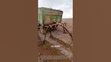 Spreading manure on a field: people spreading manure on a field