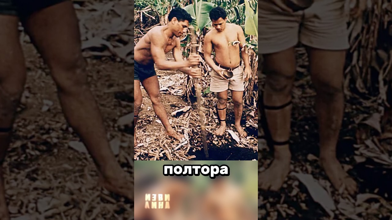 Почему они на 30 выглядят я хз честно