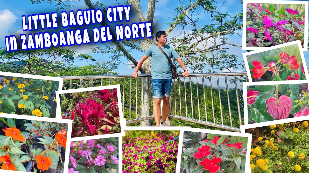 ALVENDA PEAK | LITTLE BAGUIO CITY IN ZAMBOANGA DEL NORTE | TRIP TO ZAMBOANGA DEL NORTE - PART 1