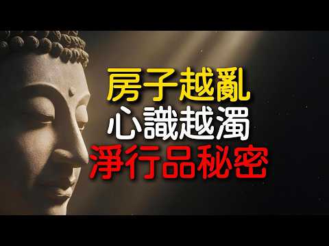 你的房子越亂,心識就越濁!《華嚴經·淨行品》揭祕:佛陀把141件日常小事,全變成了改命的道場 #淨行品 #華嚴經 #佛學智慧 #因果 #業力 #斷捨離 #情緒內耗 #心靈成長