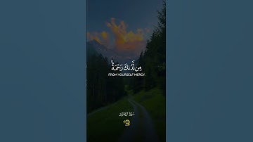 تلاوة تقشعر لها الأبدان من سورة آل عمران للقارئ محمد الفقيه 💚 - أرح سمعك وقلبك 😴🤍