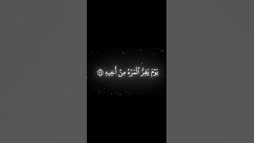 اكتب شي تؤجر عليه | القارئ محمد اللحيدان🤍🖤