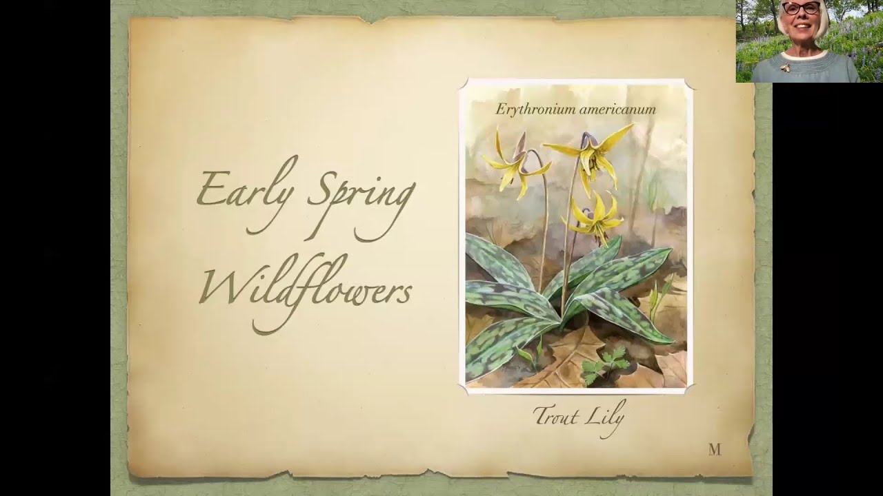 IUN Community Garden: Early Spring Wildflowers - 2024