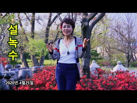 설녹수 (Seol Nok Su) MUSIC VIDEO - 부초같은 인생 / 할미꽃 사연 / 님의 등불 / 까치가 울면 (2020년 4월25일)