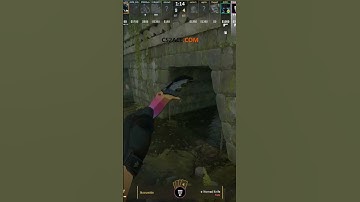 CS2: ACE That Leaves Everyone in Awe! 😲💣 #csgo #cs2clutch #counterstrike #cs2ace #gaming #cs2game