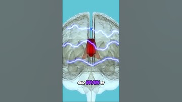 Strange Condition that SPLITS Your Brain in Two! Check Out the Full Video