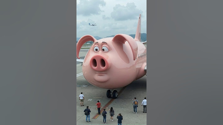 Flying Pig Airplane ✈️🐷 Soaring into dreams!
