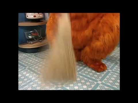 Bear In The Big Blue House Spring Fever Part 6 