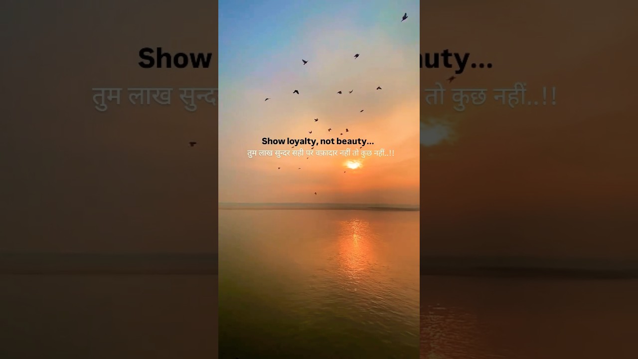 𝐒𝐡𝐨𝐰 𝐥𝐨𝐲𝐚𝐥𝐚𝐭𝐲  