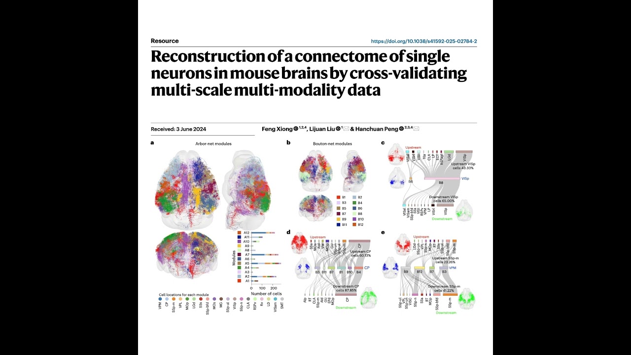 320-Validated Single-Neuron Connectome of the Mouse Brain