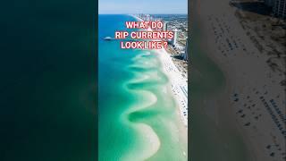 What Do Rip Currents Look Like?#RipCurrents #BeachSafety #OceanSafety #SummerSafety #BeachTips