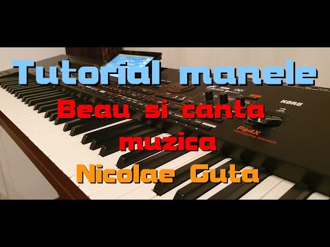 Beau Si Canta Muzica Tutorial La Orga Manea Nicolae Guta