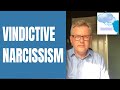 Vindictive Narcissism