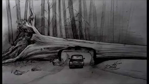 Onde ficam as sequoias gigantes?