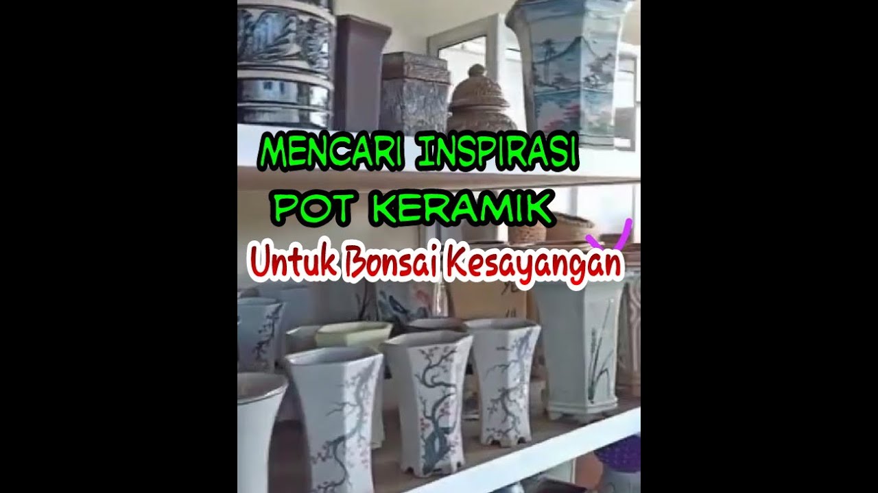 Mencari Inspirasi pot  keramik  untuk  bonsai  YouTube