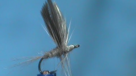 Fly Tying Meck Series Blue Dun with Jim Misiura