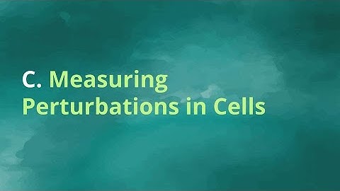 Obesity ML Competition: Lecture 2, Part C - Tech - Measuring Perturbation Effects in Cells
