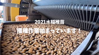 2021水稲稚苗の播種作業始まっています！