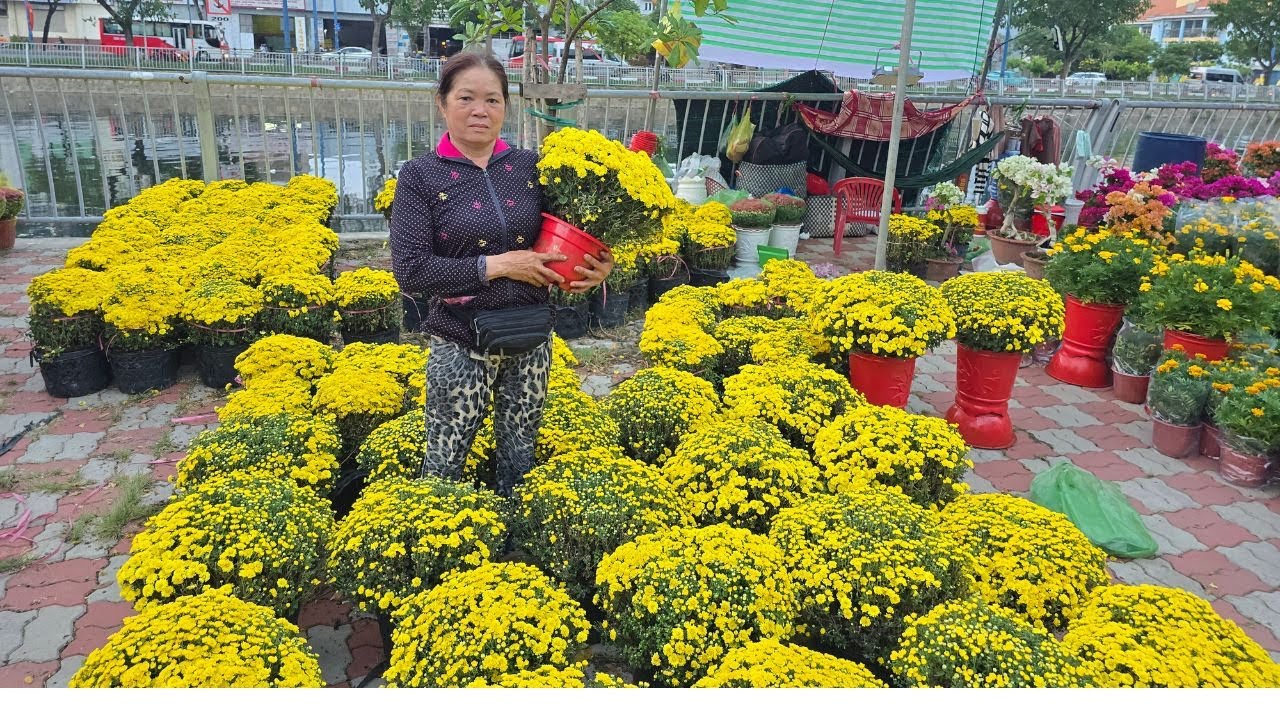 Anh trai cầm cọc tiền xuống tay mua cúc mâm xôi, hoa Tết Bến Bình Đông Sài Gòn cực kỳ sôi động