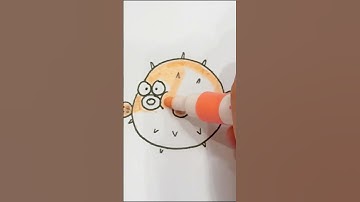 Dạy vẽ con cá nóc - Hướng dẫn vẽ con cá nóc - How to draw a pufferfish - BAHAKIDS TV #shorts