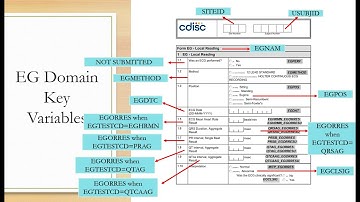 SDTM EG Domain Explained | ECG Data, PQRST Wave, CRF Annotation & Key Variables