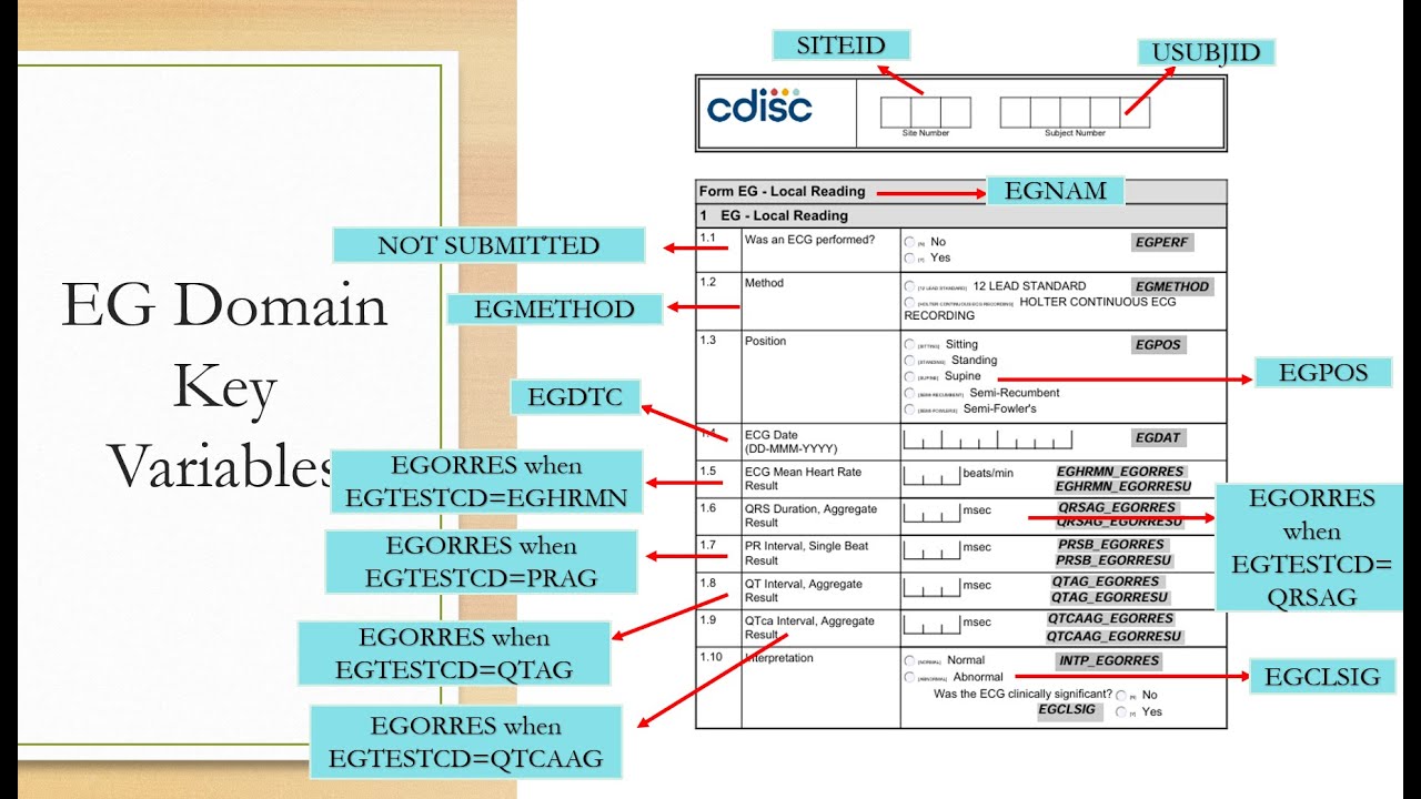 SDTM EG Domain Explained | ECG Data, PQRST Wave, CRF Annotation & Key ...