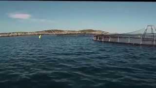 Fishing Norway 2014 Vagan Feriegard