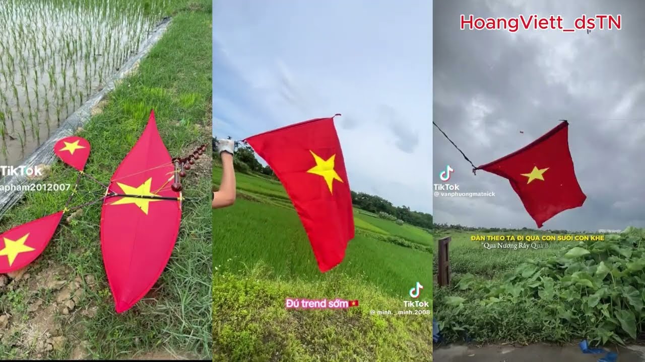 [Diều SáoTikTok] Tổng Hợp Các Video Diều Sáo Hưởng Ứng 2/9.