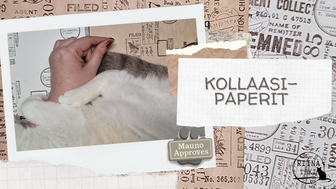 LEIMATAAN KOLLASSIPAPEREITA MAUNON KANSSA 🐾 | Tim Holtz Field Notes | Junk Journal DIY