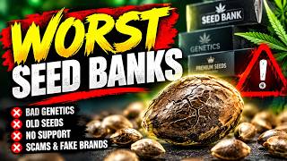 WORST SEED BANKS? 🚨 What Every Beginner Needs to Know Before Buying Seeds!