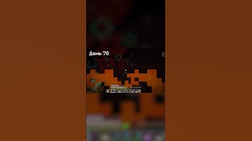 🔥 ЭТОТ ТОТЕМ СПАС МЕНЯ! 😱🏆