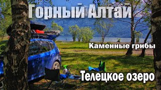 VLOG! Алтай, Телецкое озеро и Каменные грибы, долина реки Чулышман